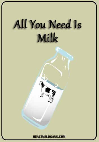 All You Need Is Milk - All You Need Is Milk