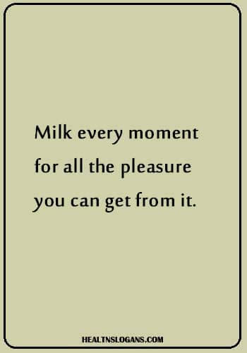 Milk Sayings - Milk every moment for all the pleasure you can get from it.