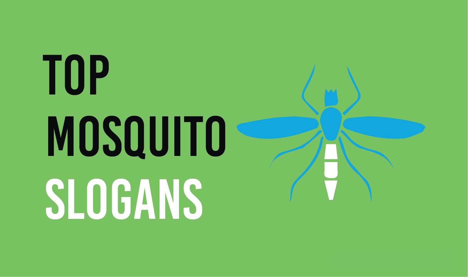 Mosquito Slogan