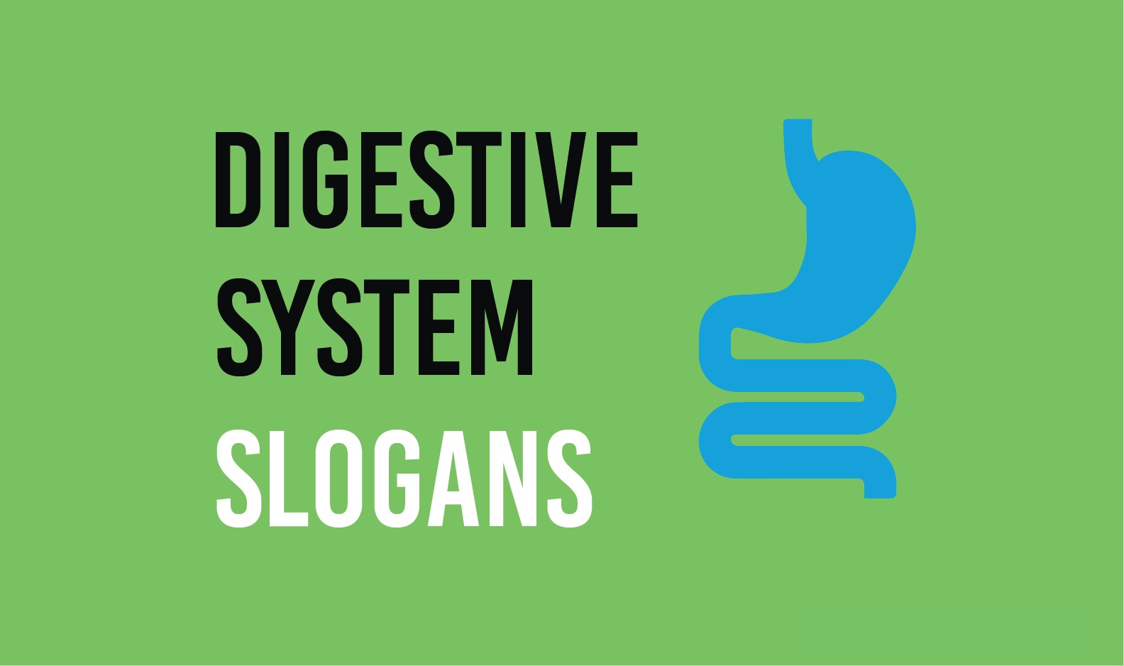 Digestive System Slogans & Sayings