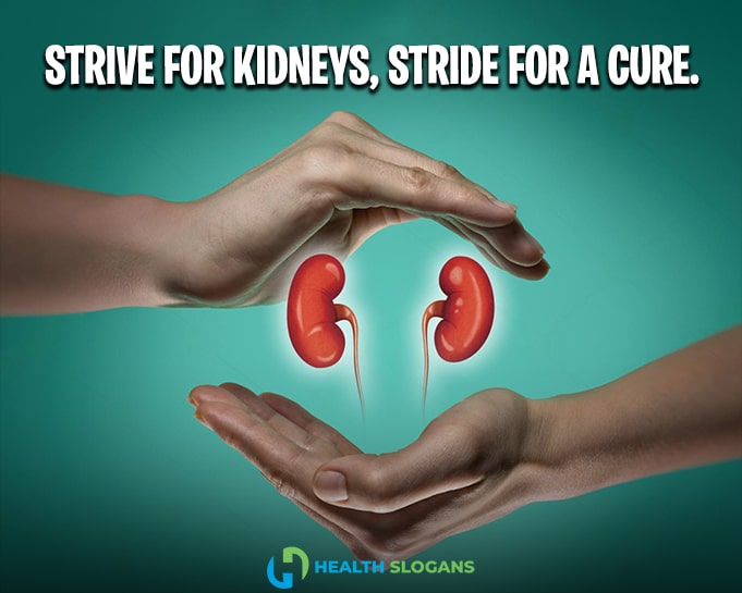 Kidney-Awareness-Slogans